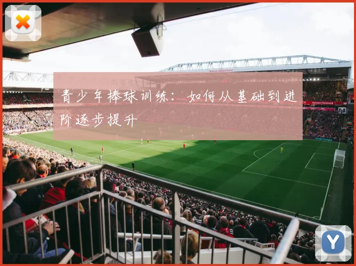 青少年棒球训练：如何从基础到进阶逐步提升