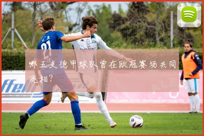 哪五支德甲球队曾在欧冠赛场共同亮相？