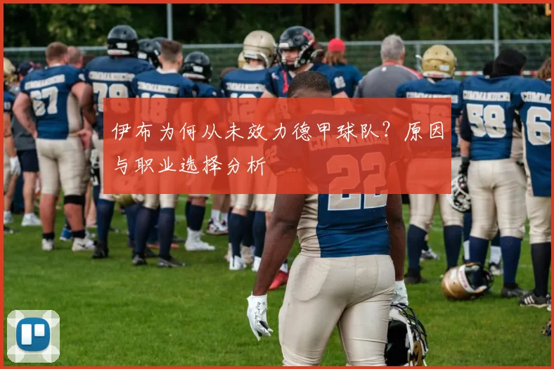 伊布为何从未效力德甲球队？原因与职业选择分析