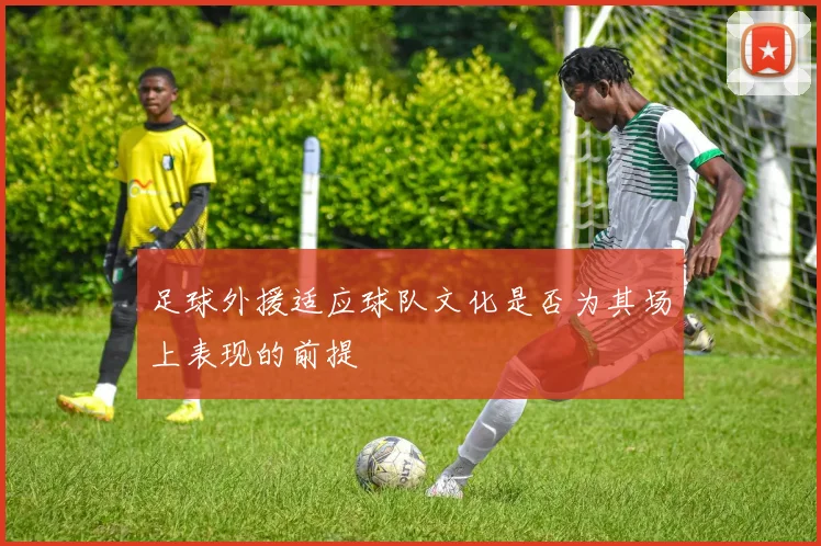 足球外援适应球队文化是否为其场上表现的前提